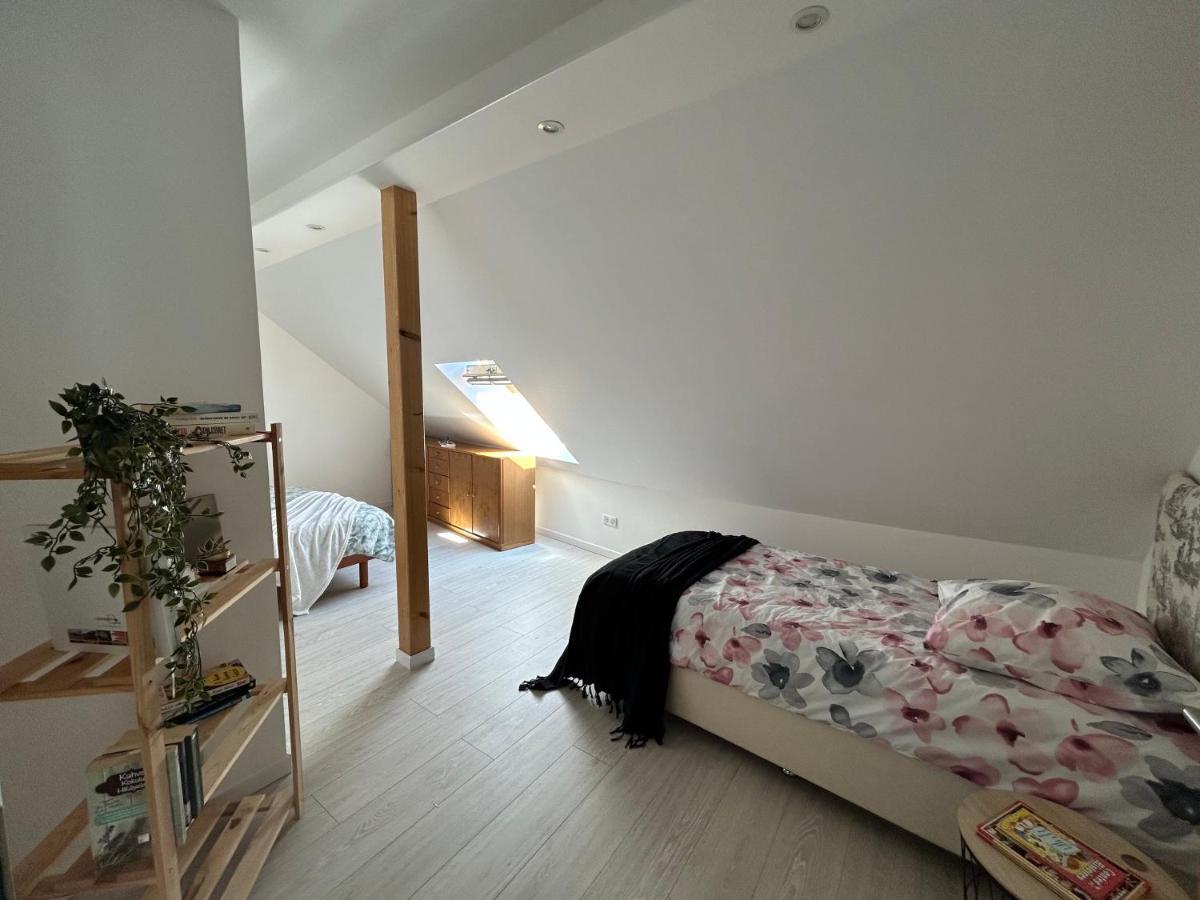 Gite Ma Maison Kintzheim Eksteriør billede